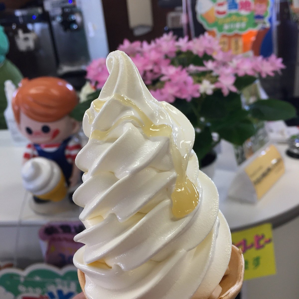 🛒 구마모토시 조난 지역 물산관(히노키미 마르셰)